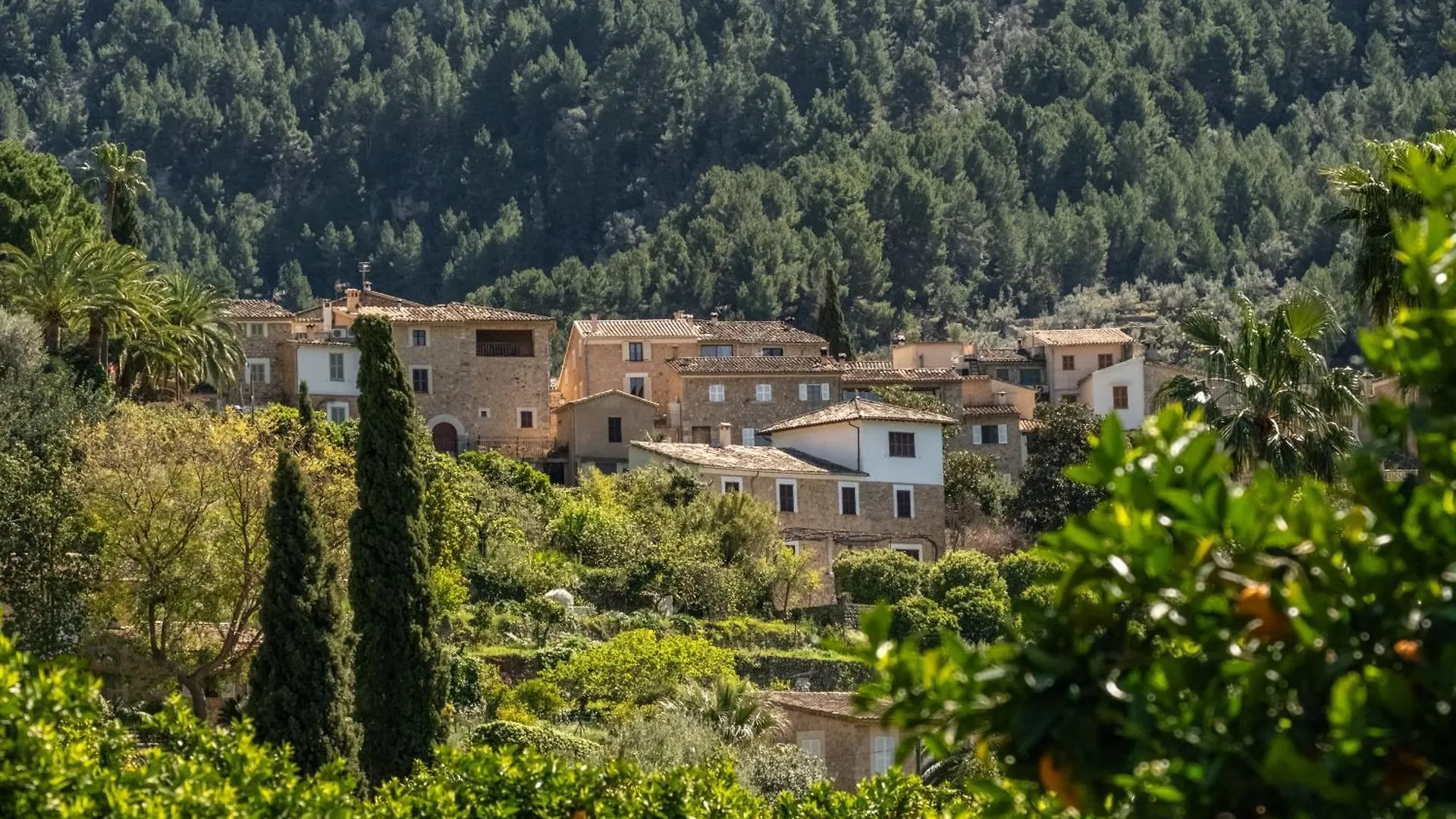 Finca Xesca Soller Holiday home
